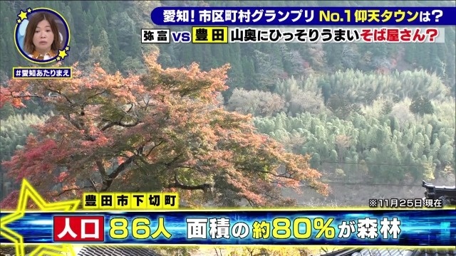 約80％を森林
