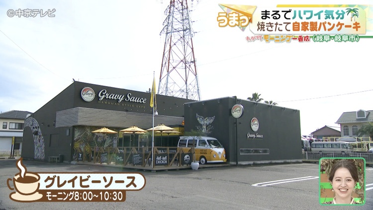 グレイビーソースの外観