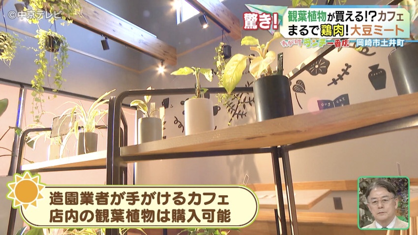 観葉植物が並ぶ店内