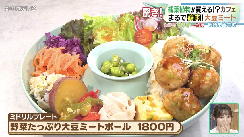 ミドリルプレート