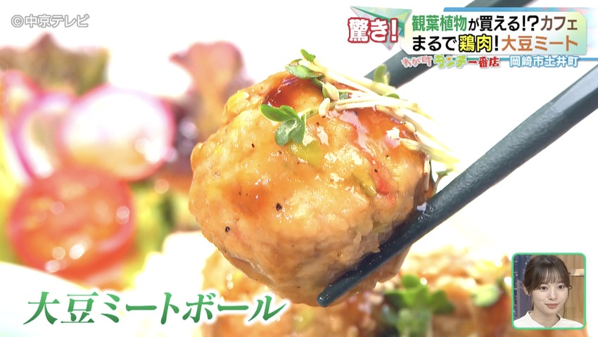 大豆ミートボール