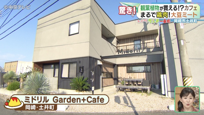 ミドリルの外観